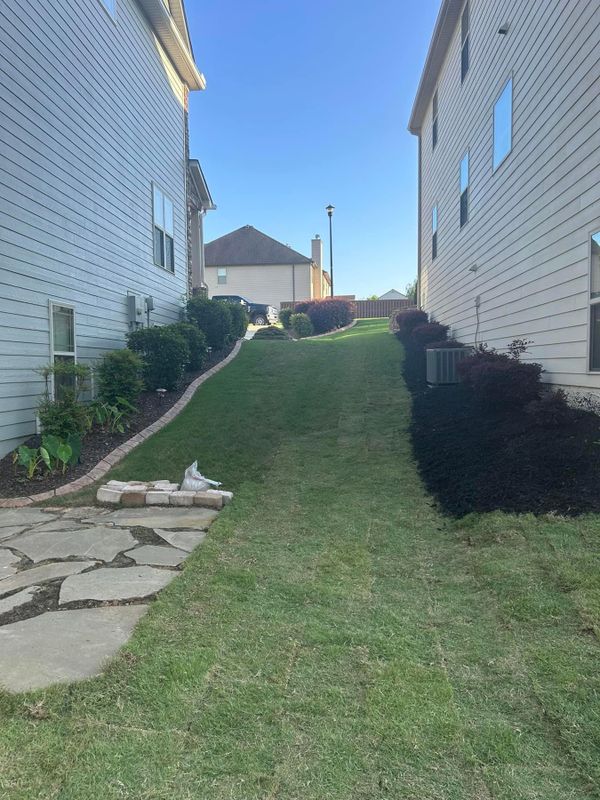 Landscape Design