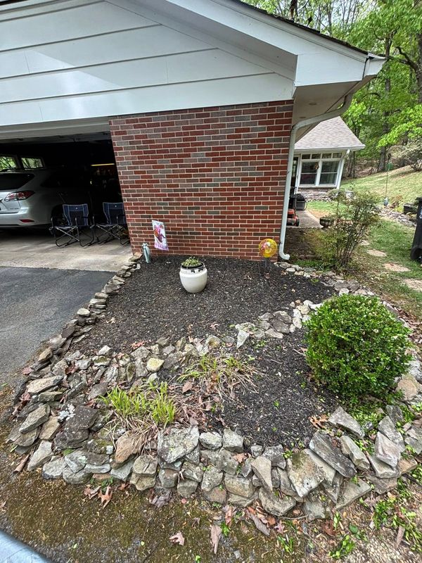 Plant & Shrub Installations