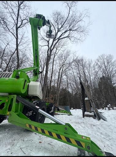 Forestry Mulching 