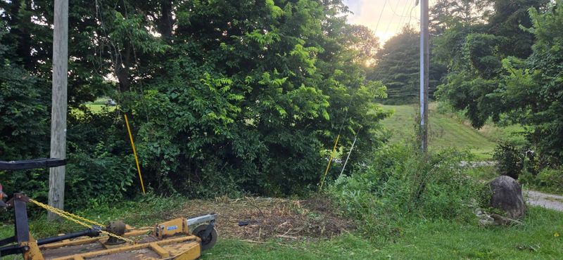 Land Clearing