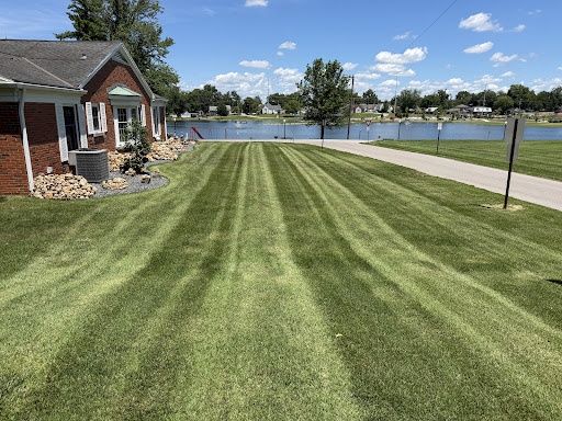 Lawn Treatments
