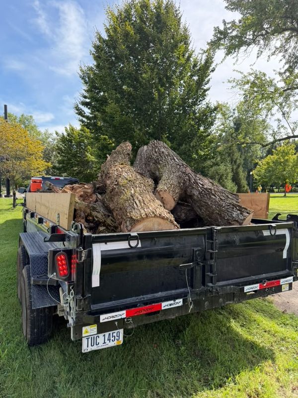 Tree Removal