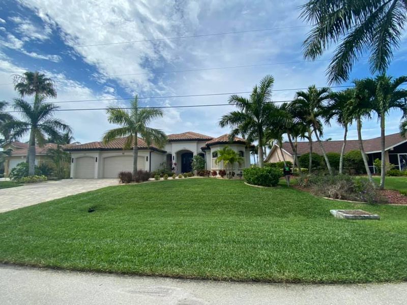 Lawn Maintenance 