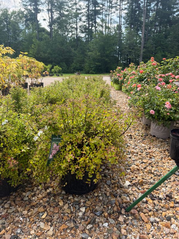 Garden Center