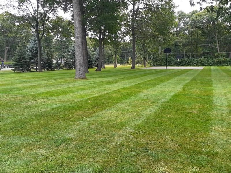 Lawn Care & Maintenance