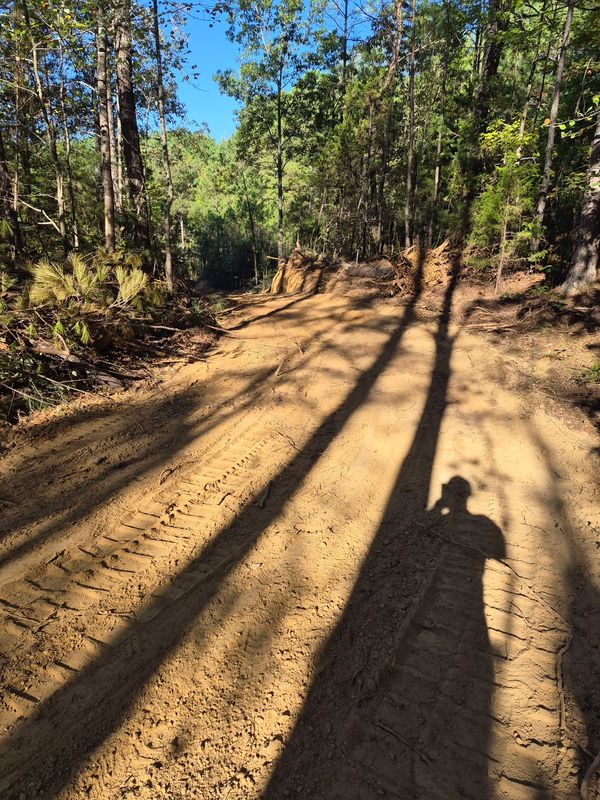 Land Clearing