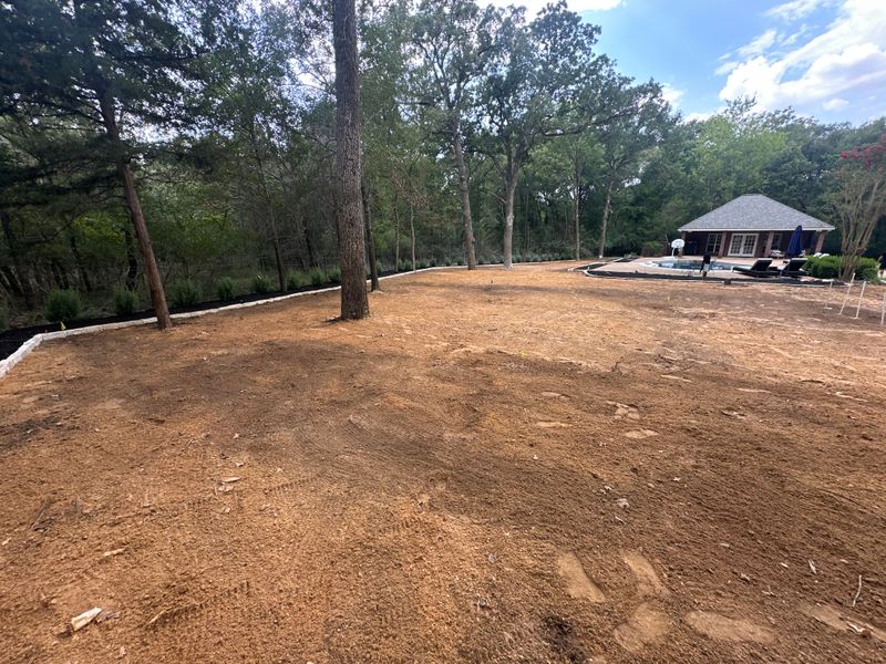 Grading/Sod