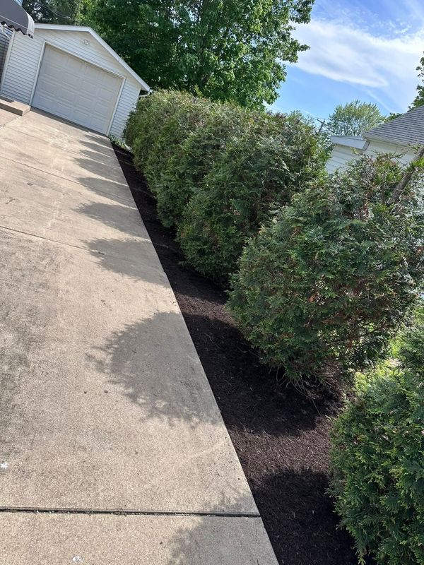Mulching