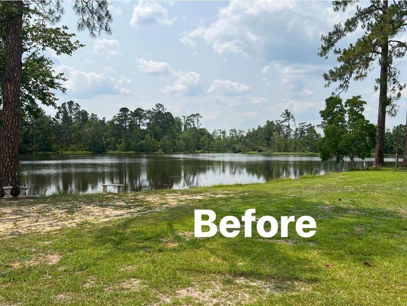 Shoreline Refurbishment