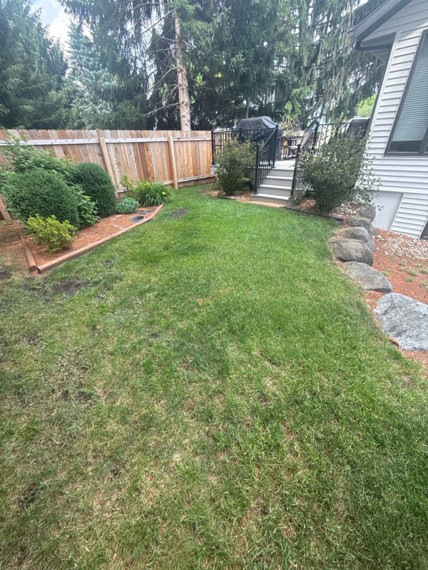 Landscaping, Mulch, Rock, & Plants