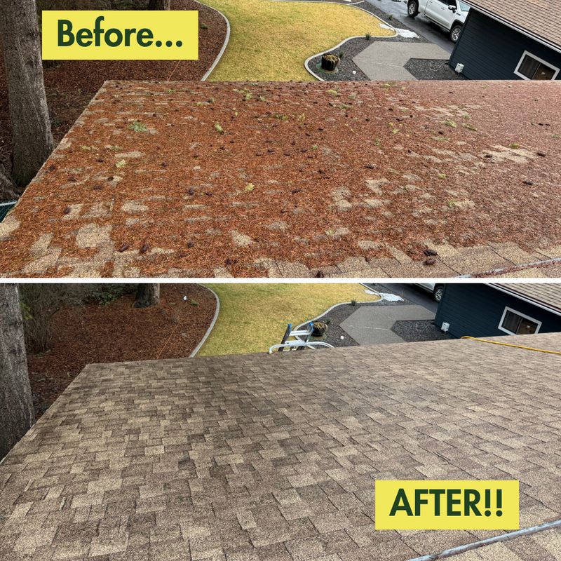 Before & After Photos