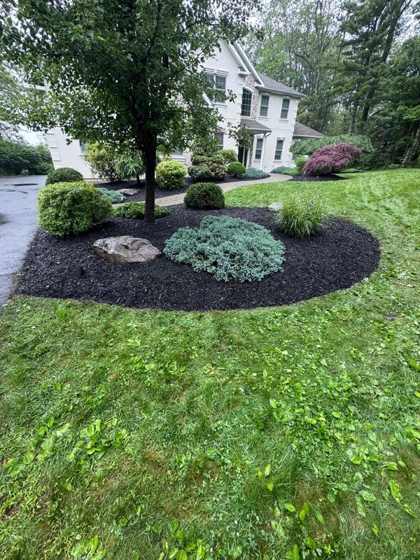 Plant & Shrub Installations