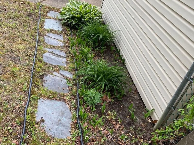 Garden and Planting Services