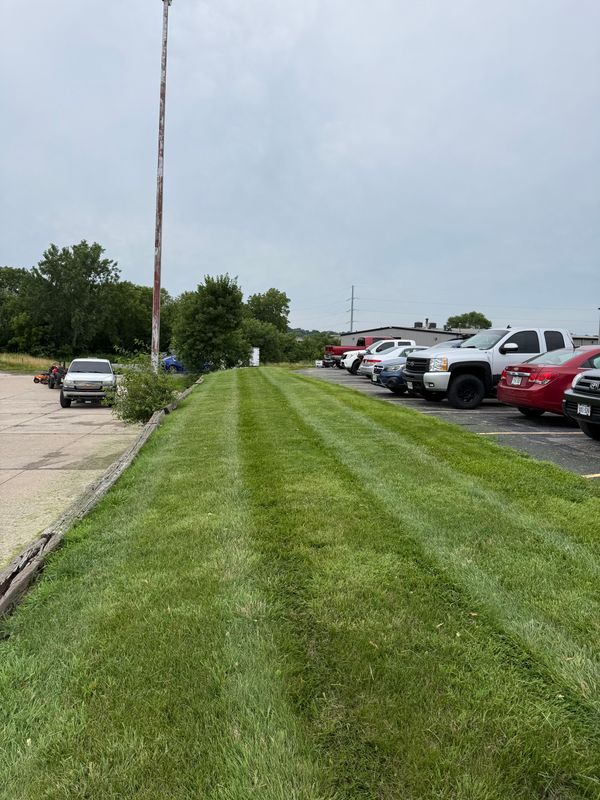 Lawn Maintenance