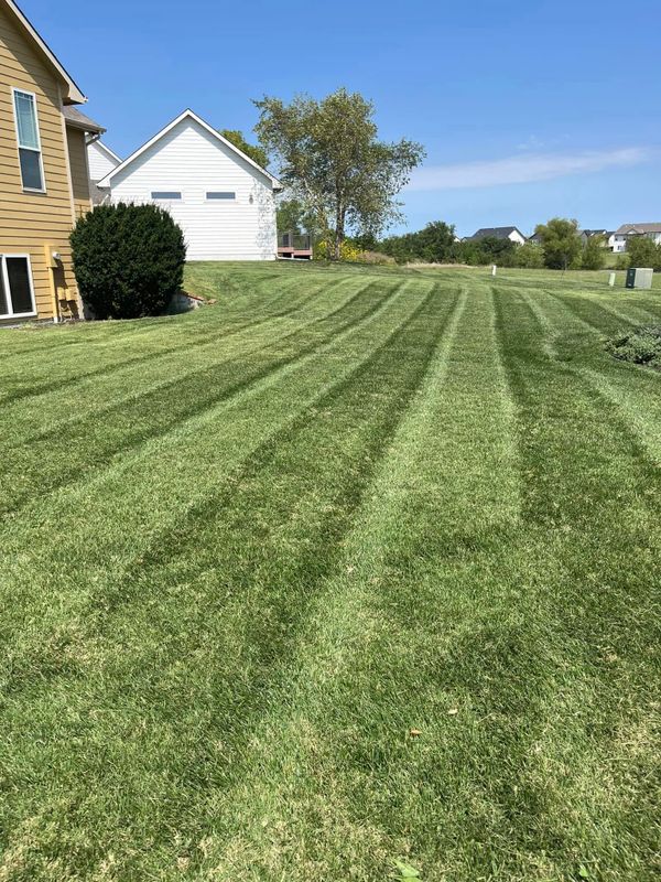 Lawn Maintenance