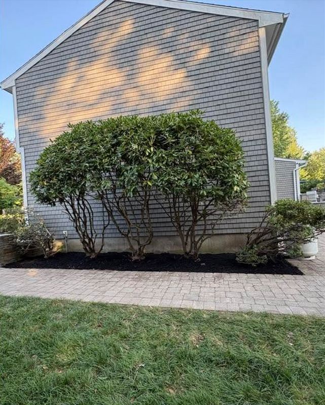 Shrub Removal & Install