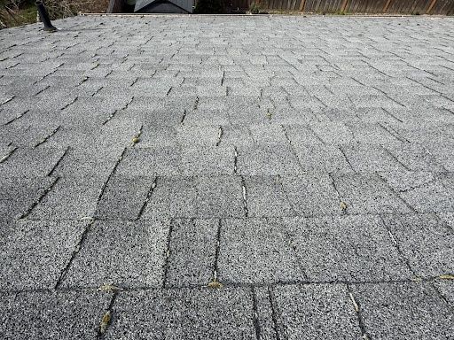 Roof Cleaning