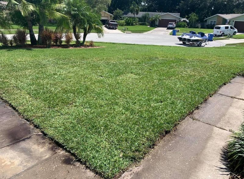 Sod Installs