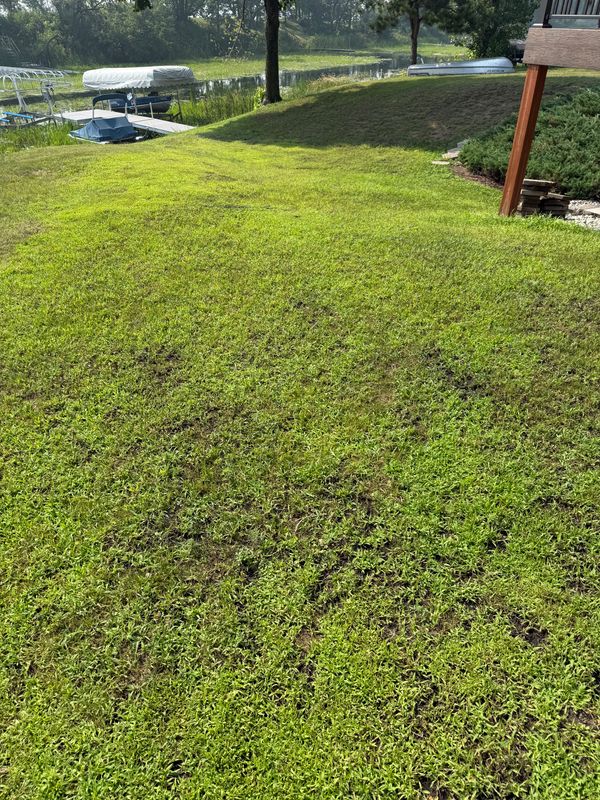 Land Clearing und Grading