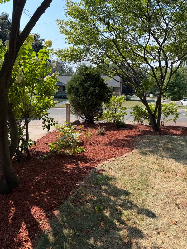 Landscaping