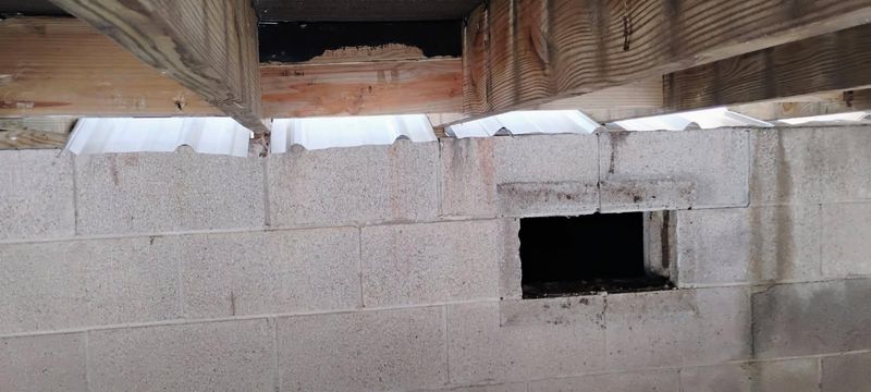 Interior Repairs