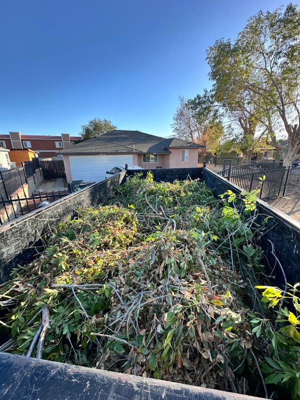 Yard Waste Removal