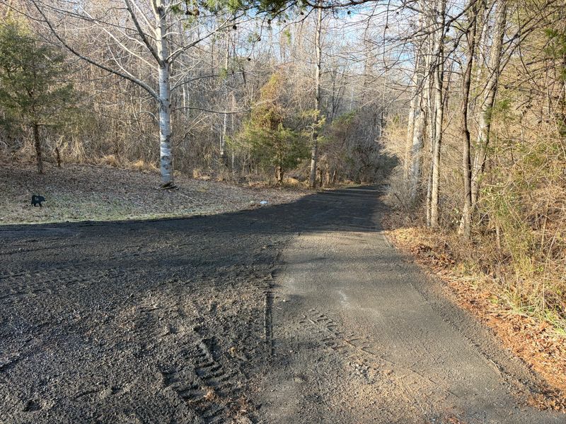 Driveway Regrading