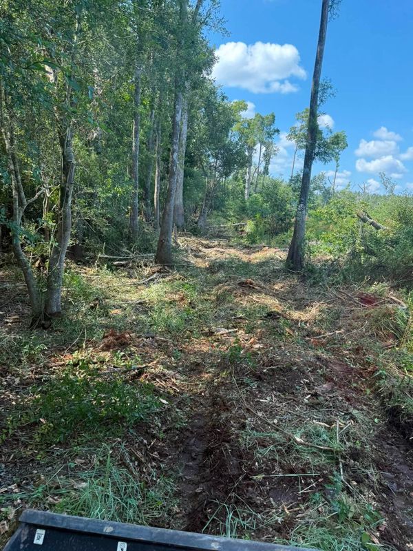 Land Clearing