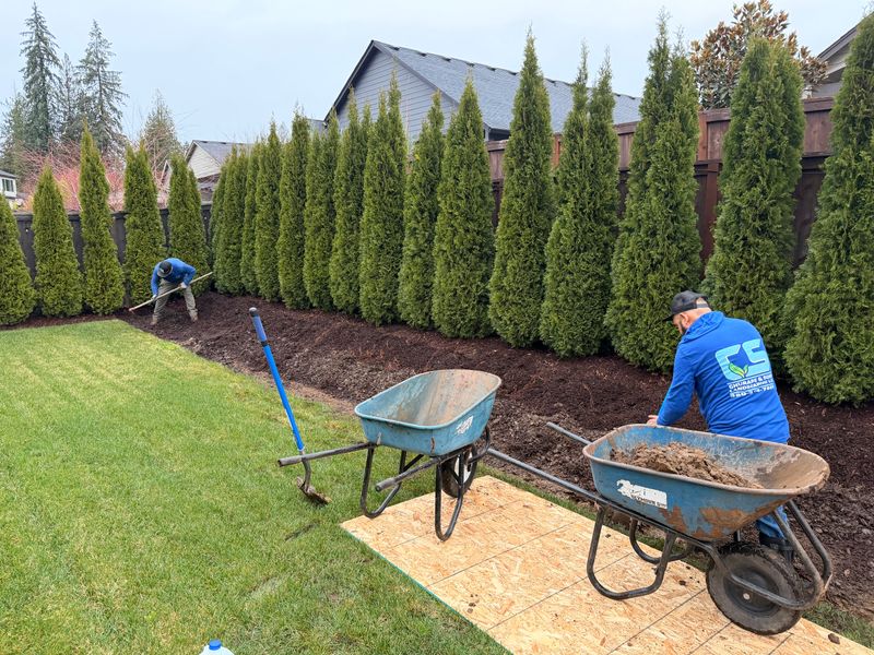 Shrub Trimming