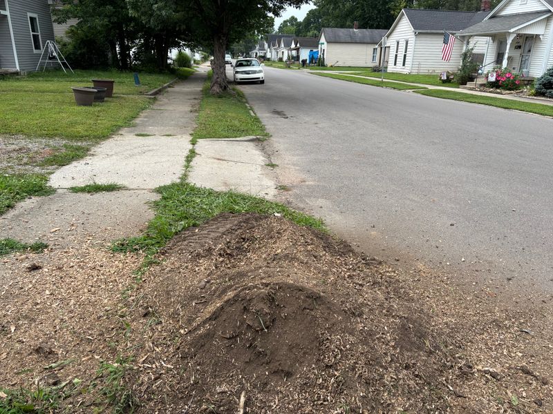 Stump Removal