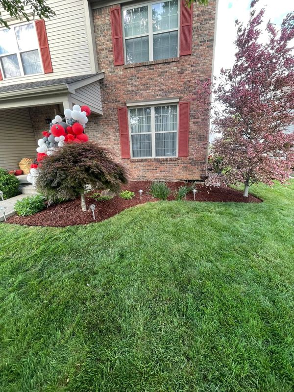 Tree & Shrub Care