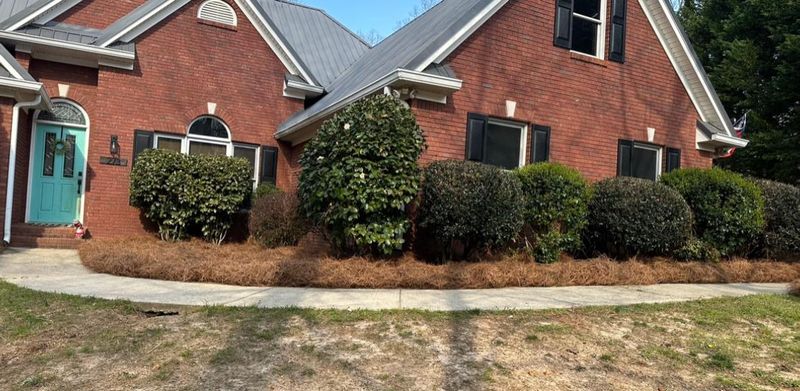 Mulch Installation