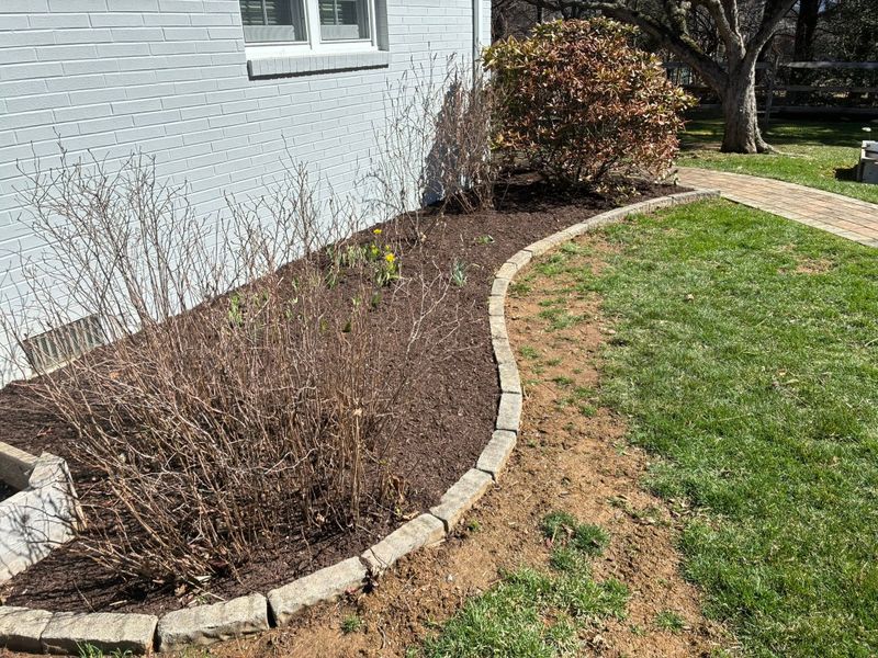 Mulch Installation