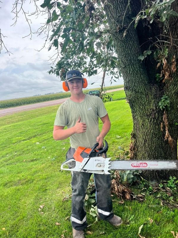 Tree Removal