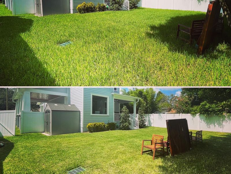 Landscaping