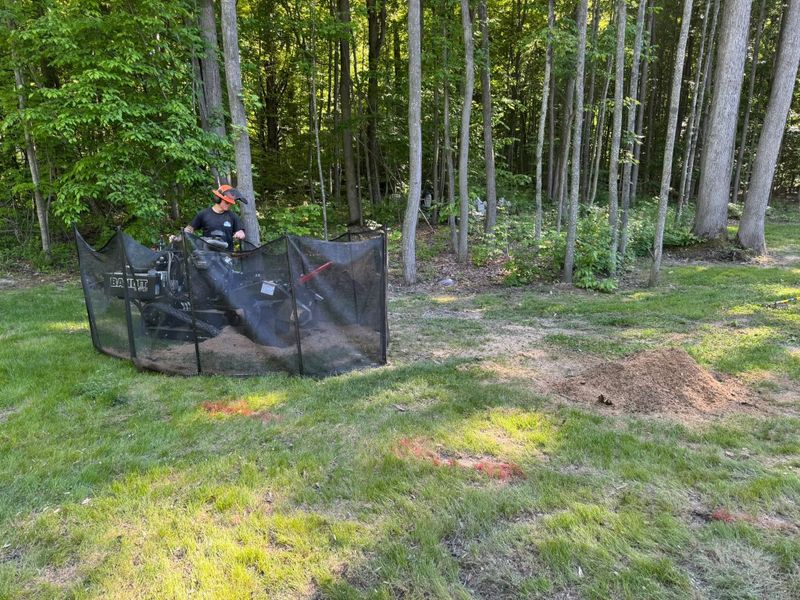 Stump Grinding