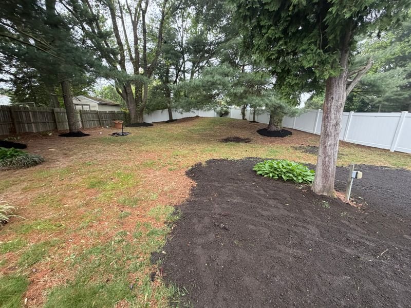 Lawn Maintenance