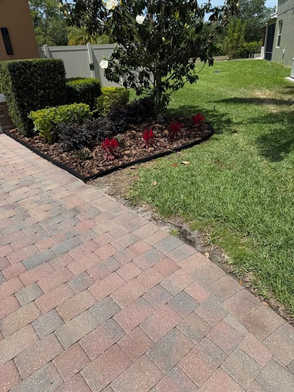 Sod Installation