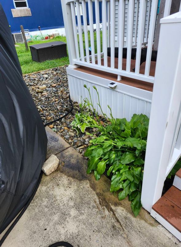 Landscaping & Hardscaping