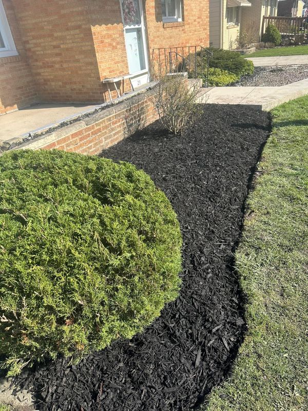 Shrub & Plant Installation Photos