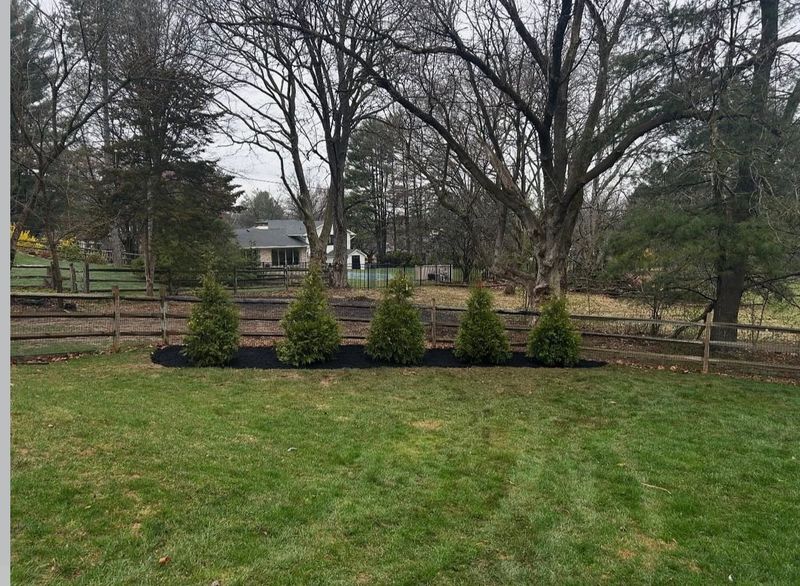 Lawn Maintenance