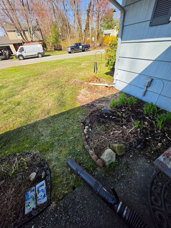 Spring & Fall Cleanups