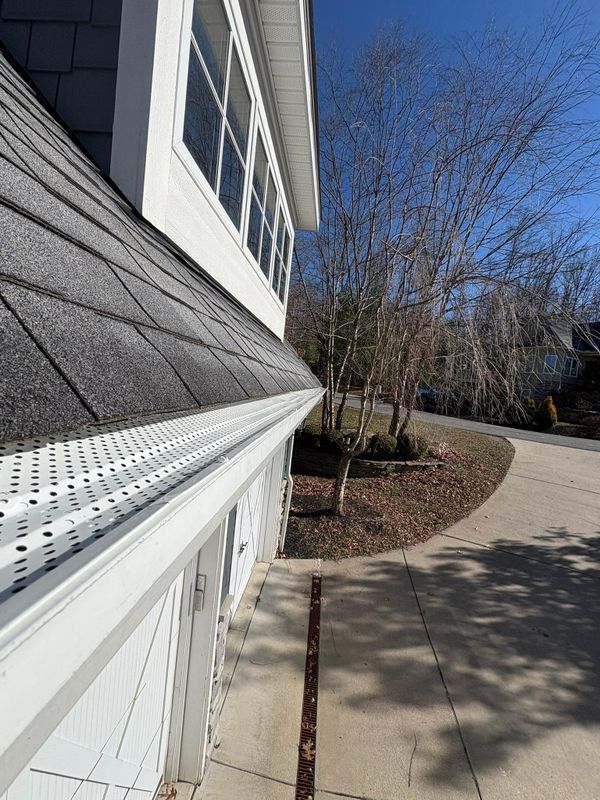 Gutter Cleaning