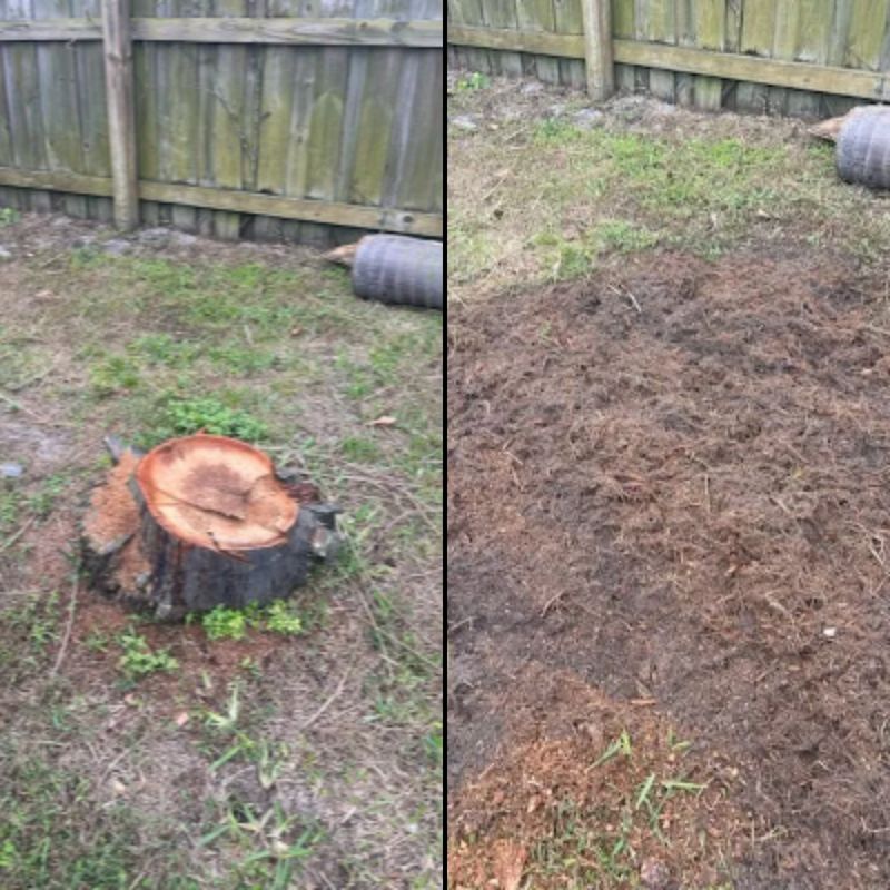 Seamless Stump Solutions: Transforming Your Yard for a Pristine Landscape