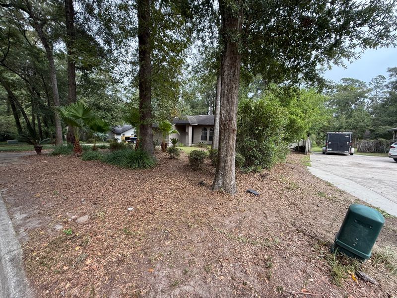 Landscape & Property Cleanup