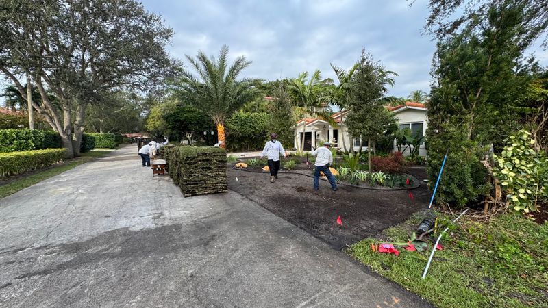 SOD Installation 