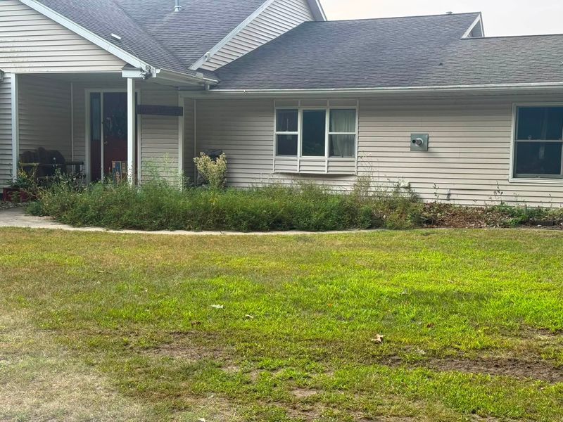Tree & Shrub Care