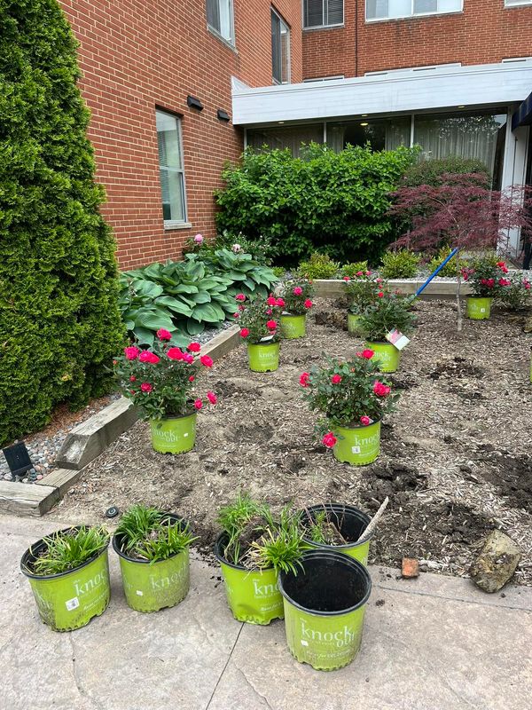 Landscaping