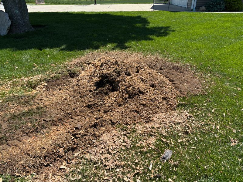 Stump Removal