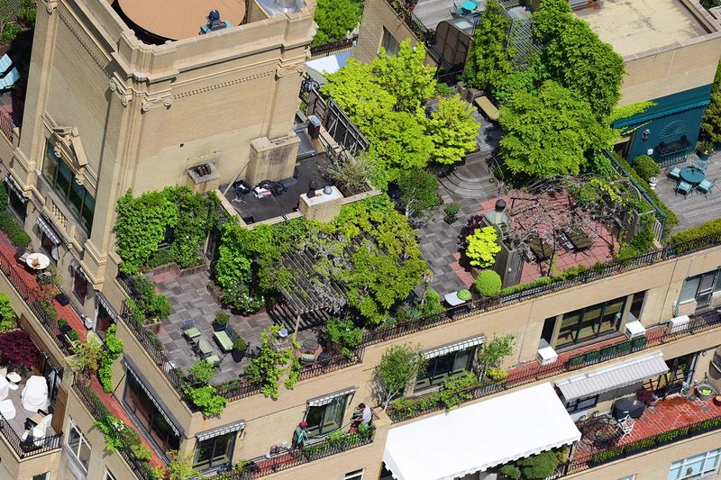 Modification Maintenance Service On The Hardscapes